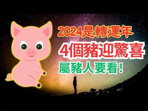 2024 豬運勢|【2024豬年】生肖豬2024好運滾滾來！屬豬運勢、幸。